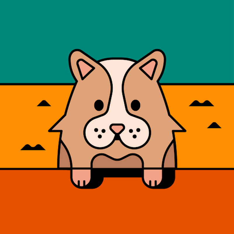 Andy老師 - 網紅的藏寶箱 