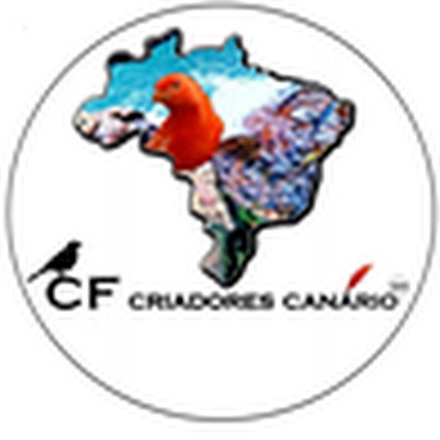 CF CRIADORES CANÃRIO ইউটিউব চ্যানেল অ্যাভাটার