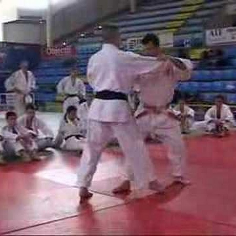 STAGEJUDO Avatar canale YouTube 