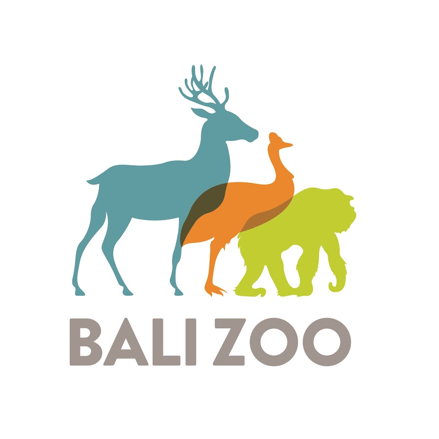 Bali Zoo YouTube 频道头像