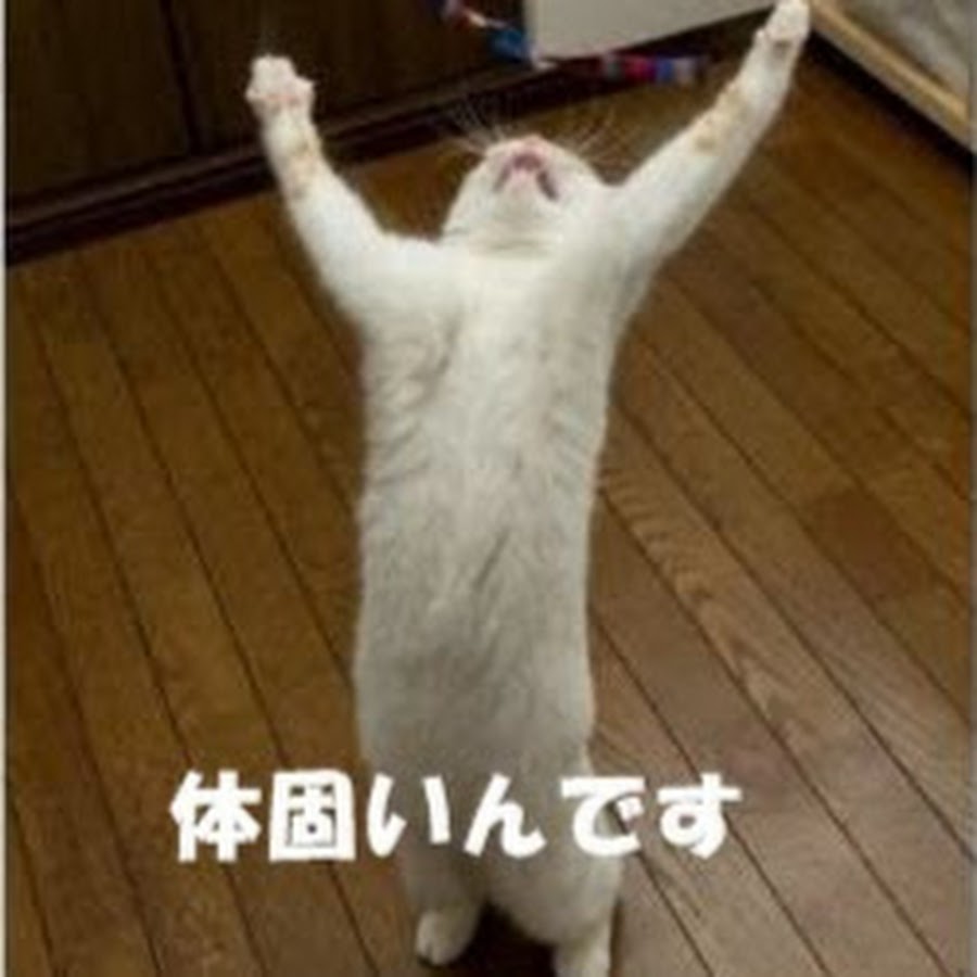 じわじわ系おもしろ動画 Youtube