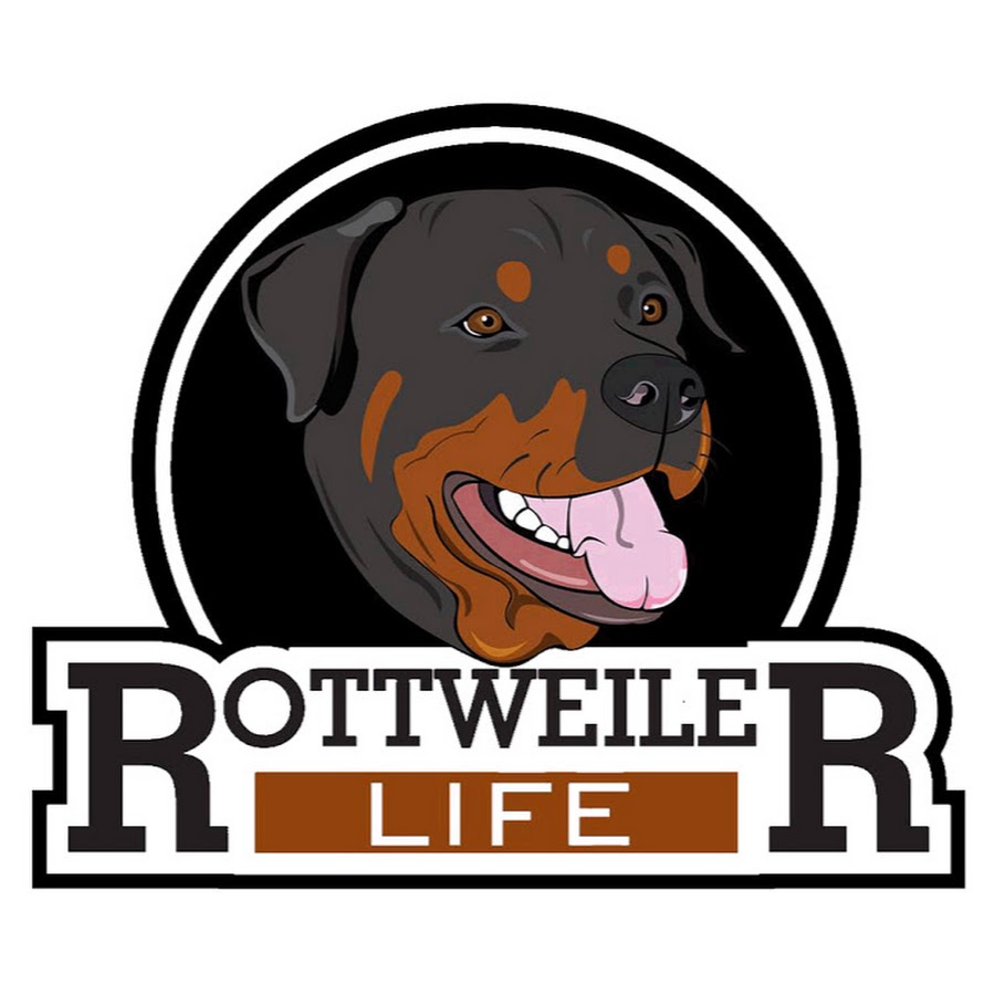 Rottweiler Life YouTube channel avatar