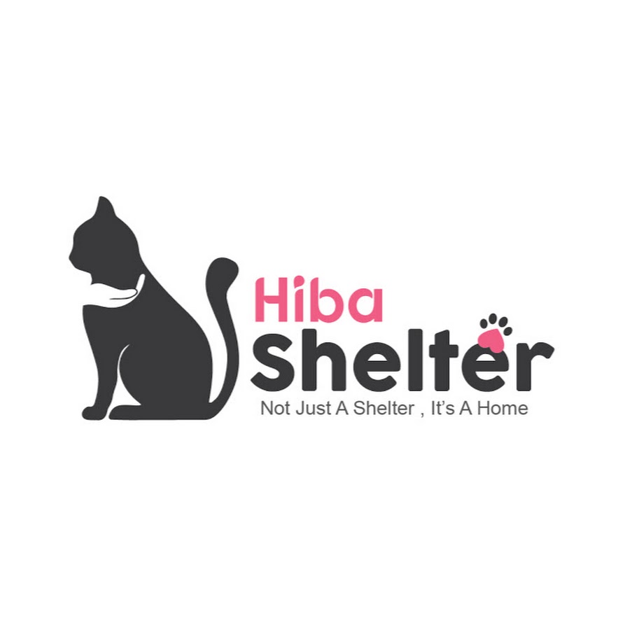 Hiba Shelter YouTube channel avatar