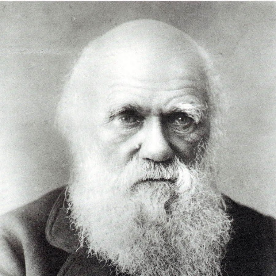 Charles Darwin YouTube channel avatar