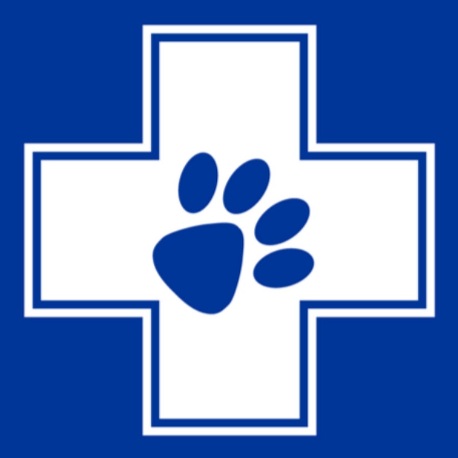 White Cross Vets YouTube channel avatar