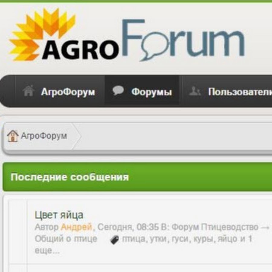 Форум Бай Интернет Магазин