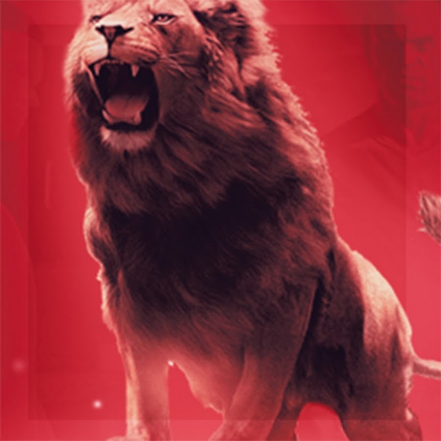 LionStars YouTube channel avatar