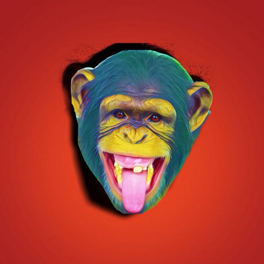 Funky Town Monkeys YouTube channel avatar
