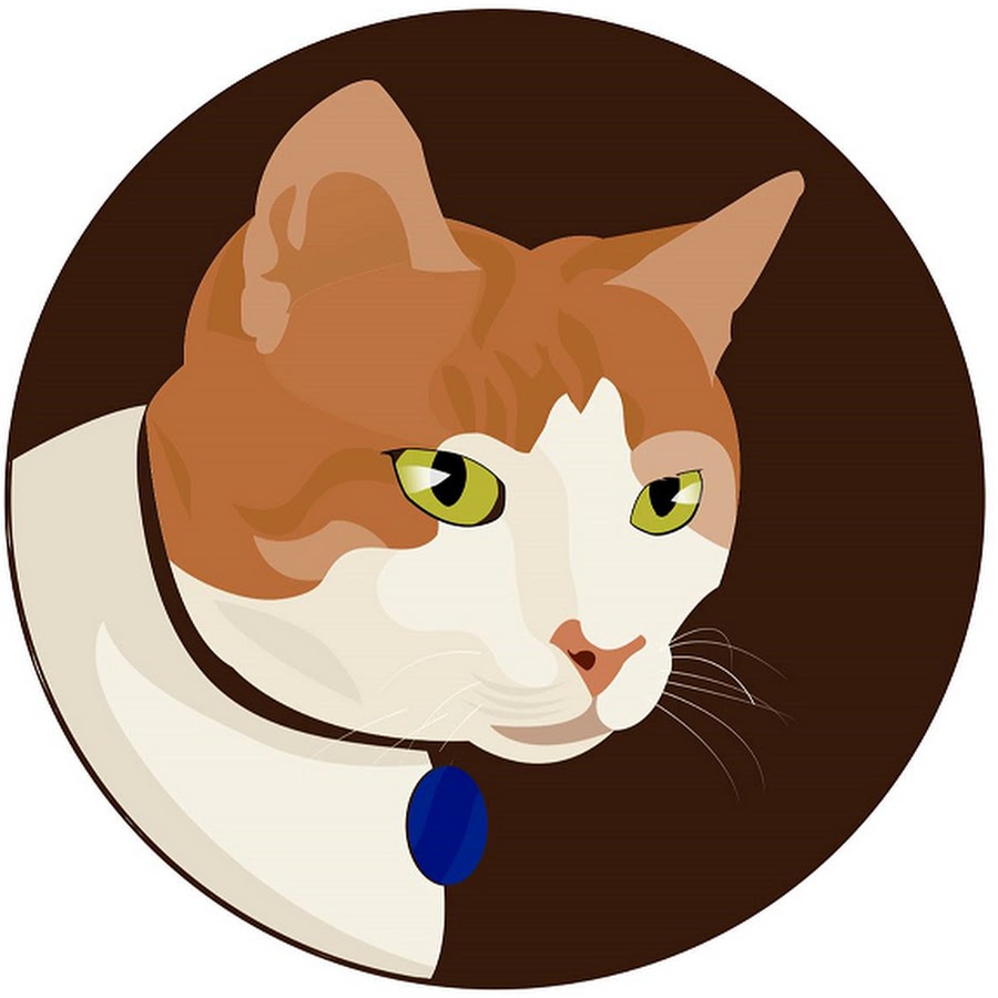 Food Motivated Cat YouTube channel avatar