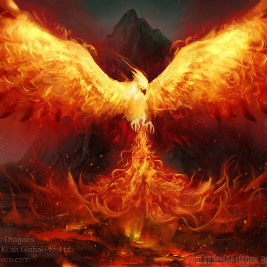 Phoenix Reviews Avatar de chaîne YouTube