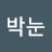 진함박눈