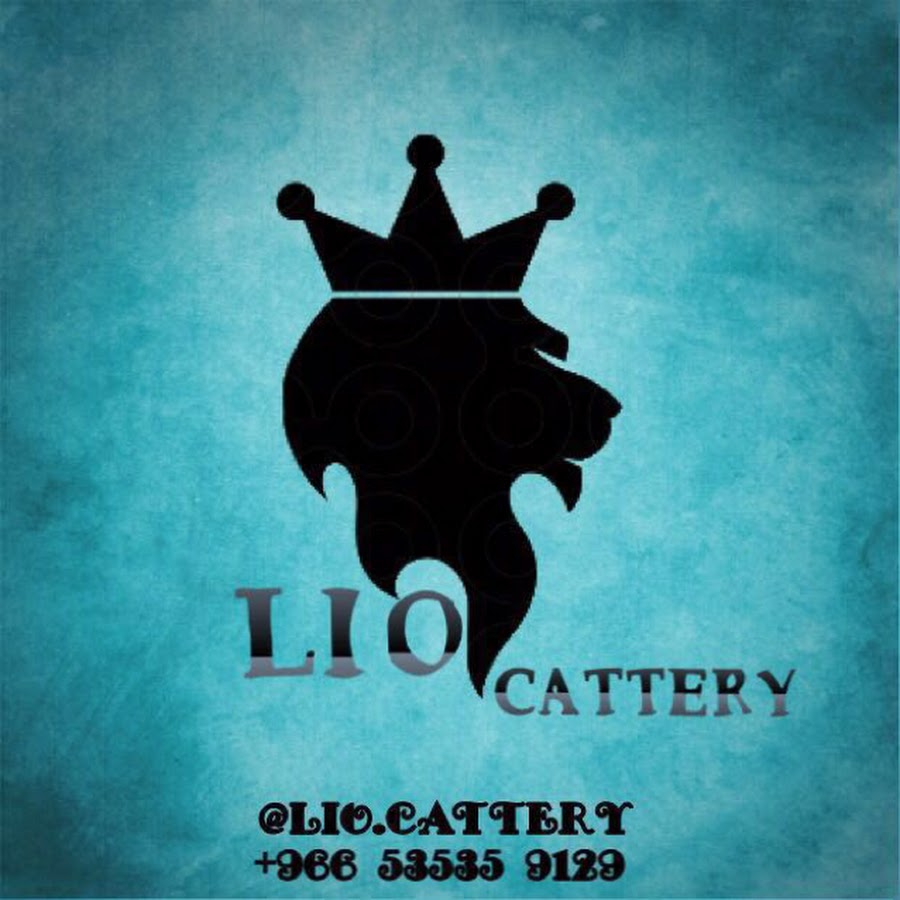 lio cattery Avatar channel YouTube 