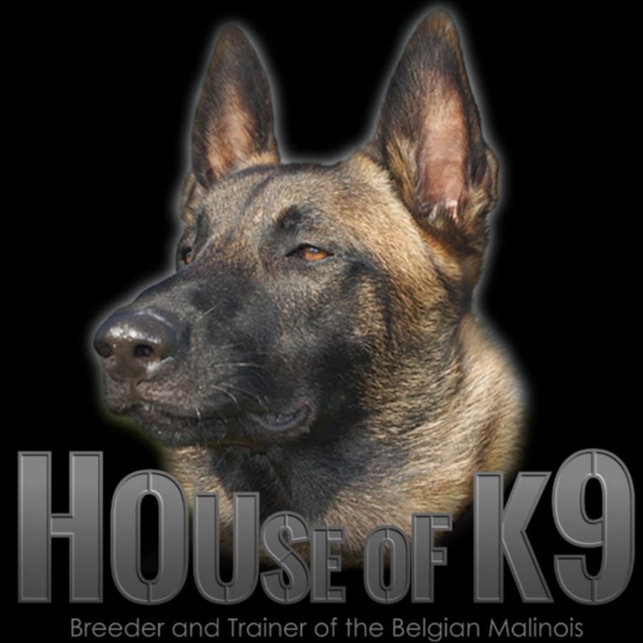House Of K9 رمز قناة اليوتيوب