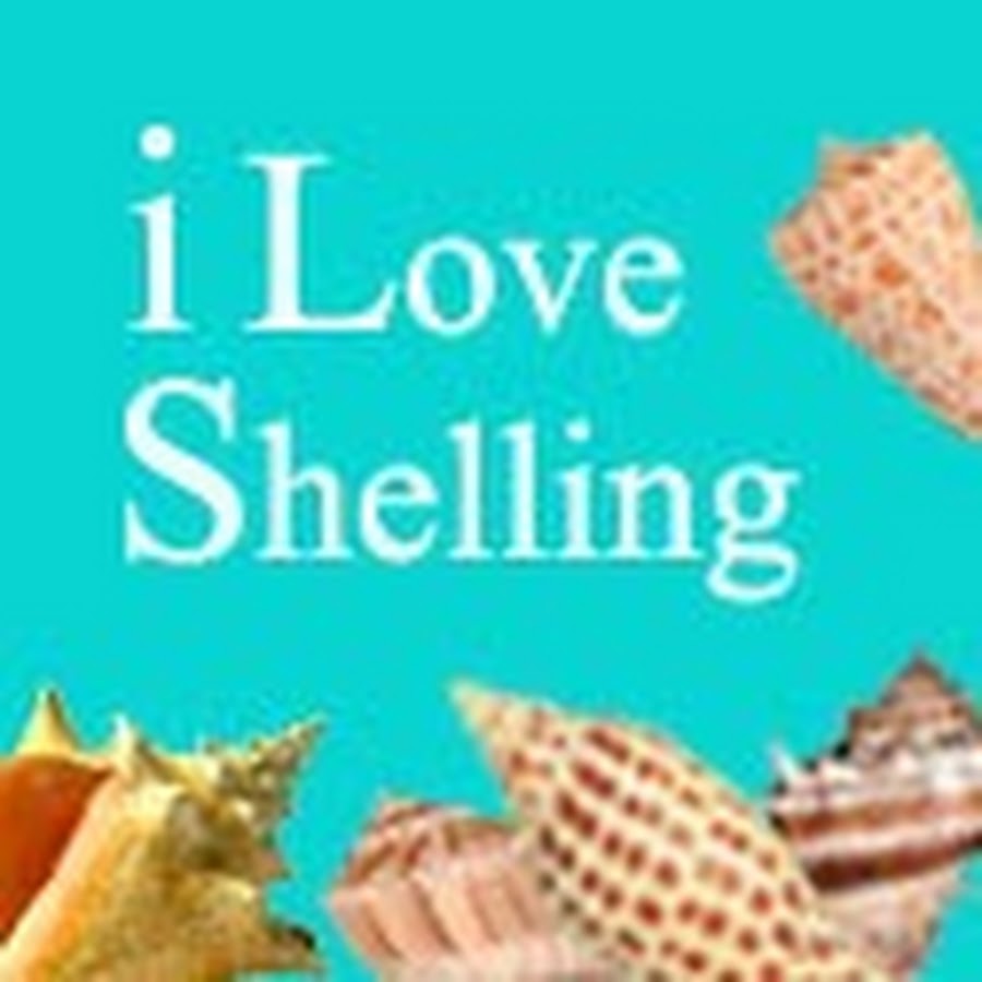 i Love Shelling