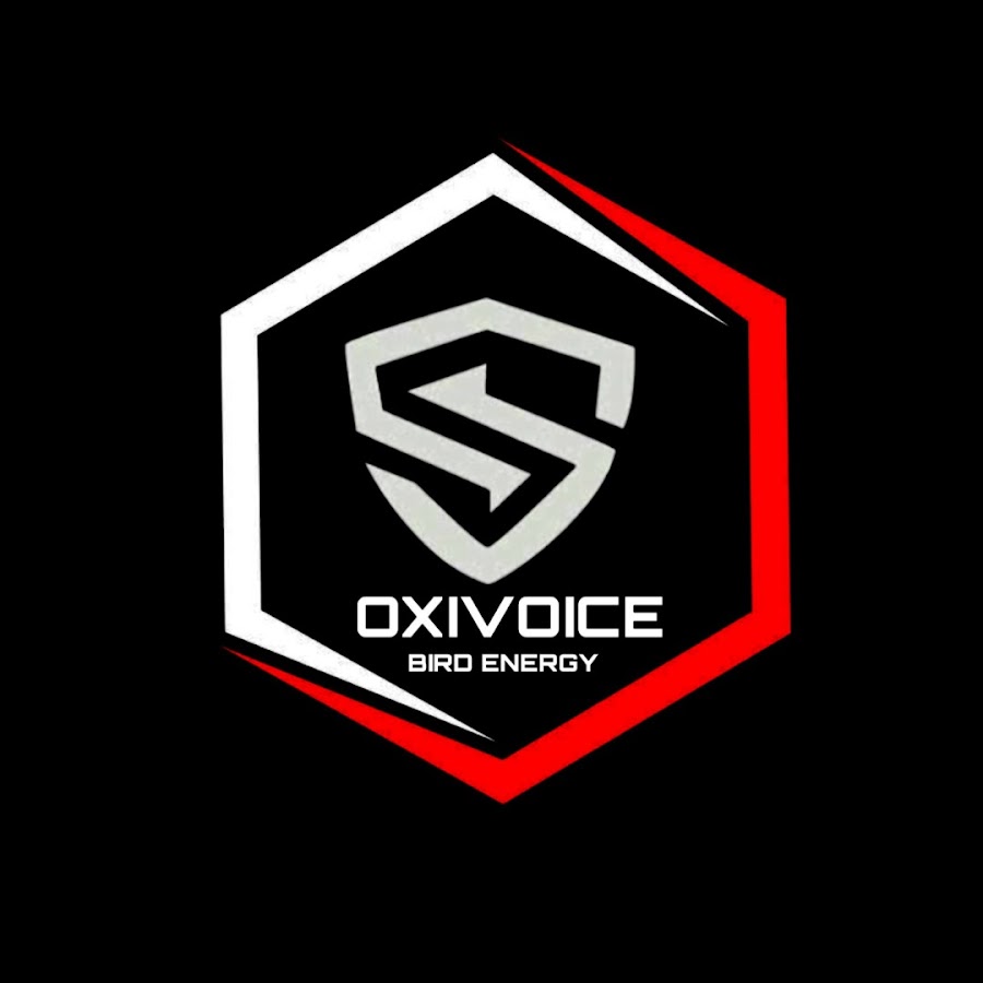 oxibird chanel YouTube channel avatar