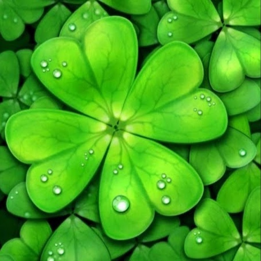 Karma tarot галерея. таро кармы. таро кармы. карта таро karma. склярова в.