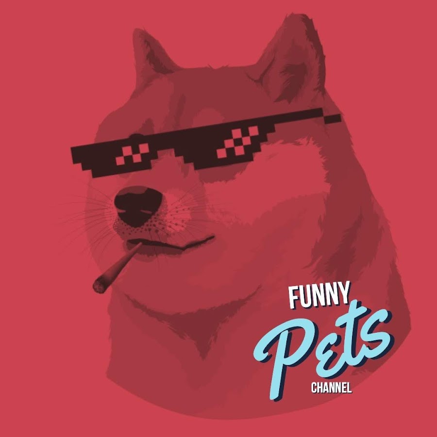 FUNNY PETS YouTube kanalı avatarı