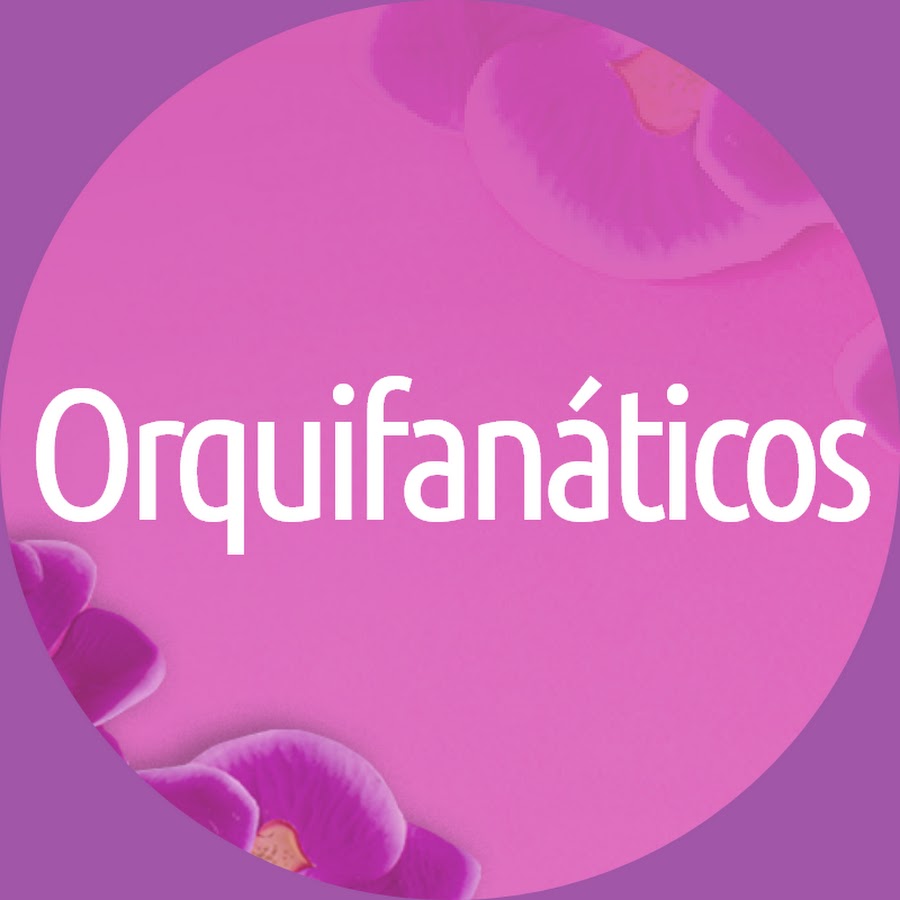 Canal Bellas OrquÃ­deas YouTube channel avatar