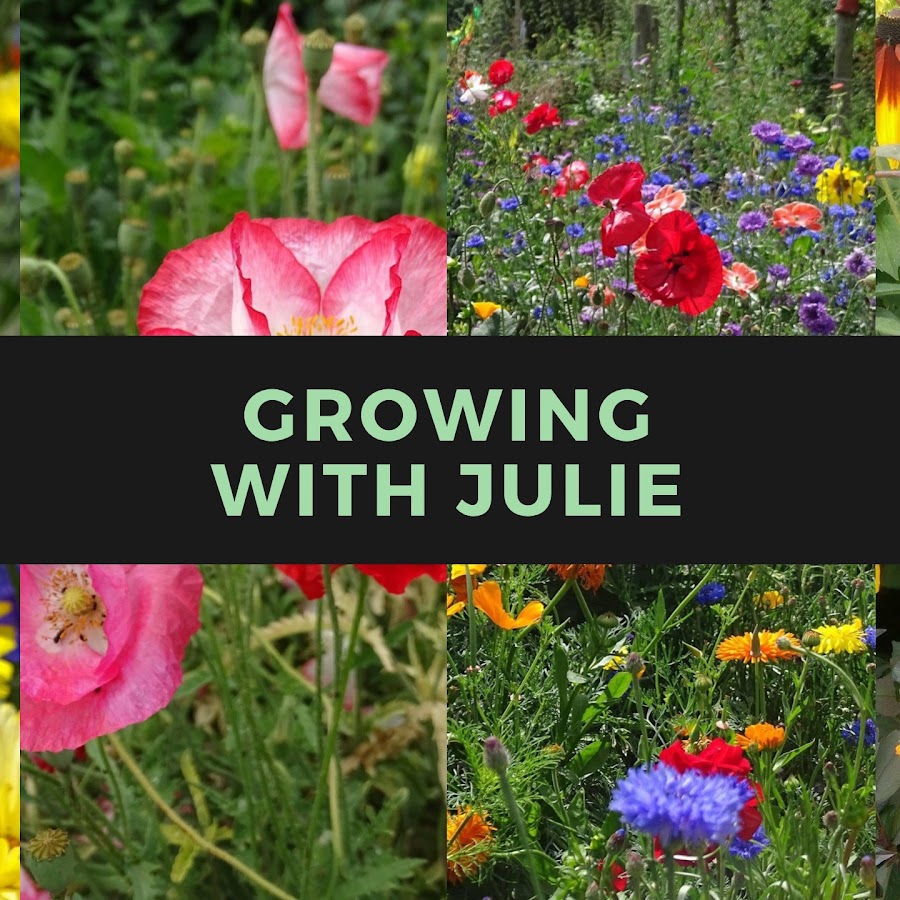 Growing with Julie
