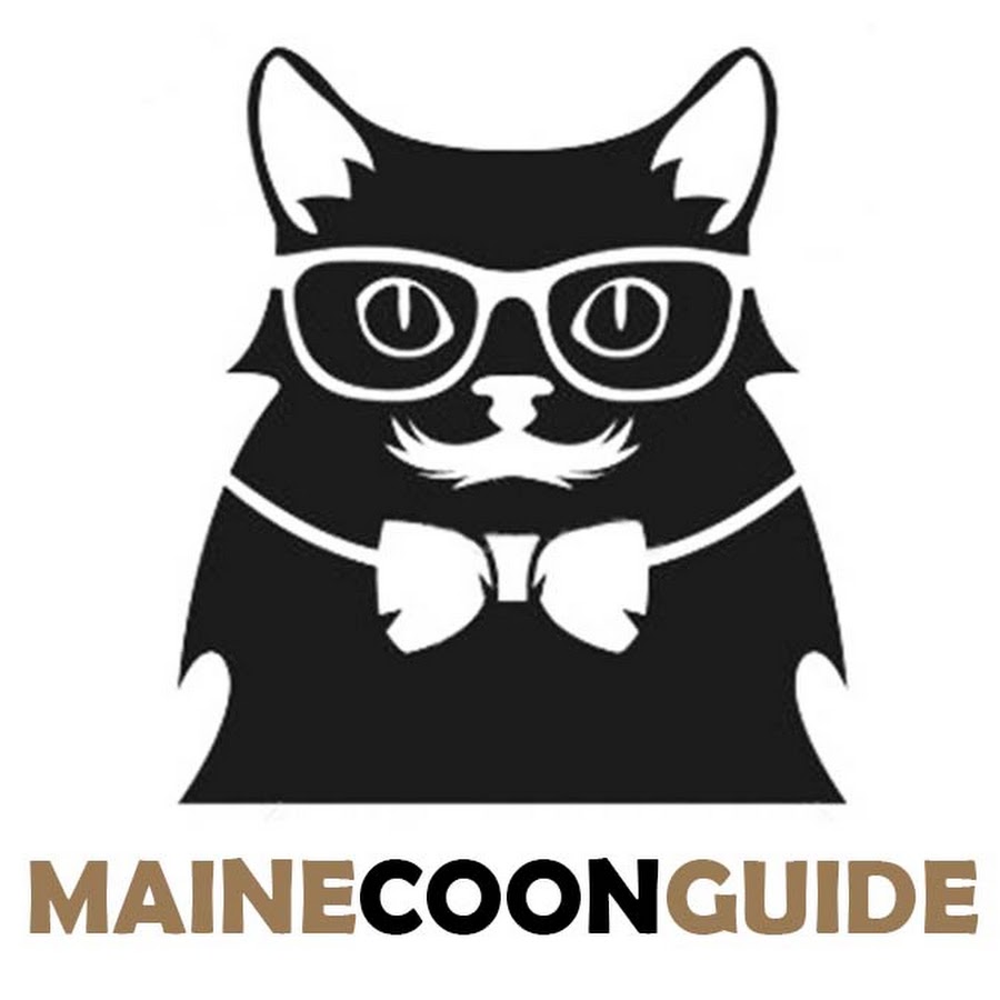 Maine Coon Guide رمز قناة اليوتيوب