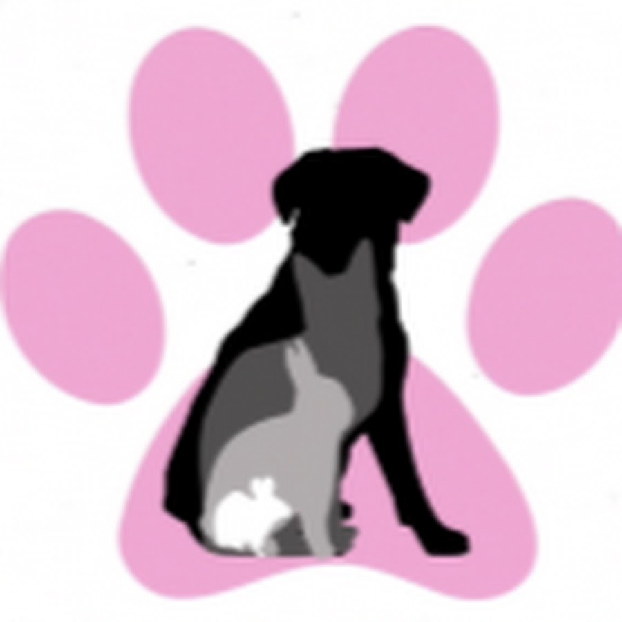 Kailey's Pet Care Awatar kanału YouTube