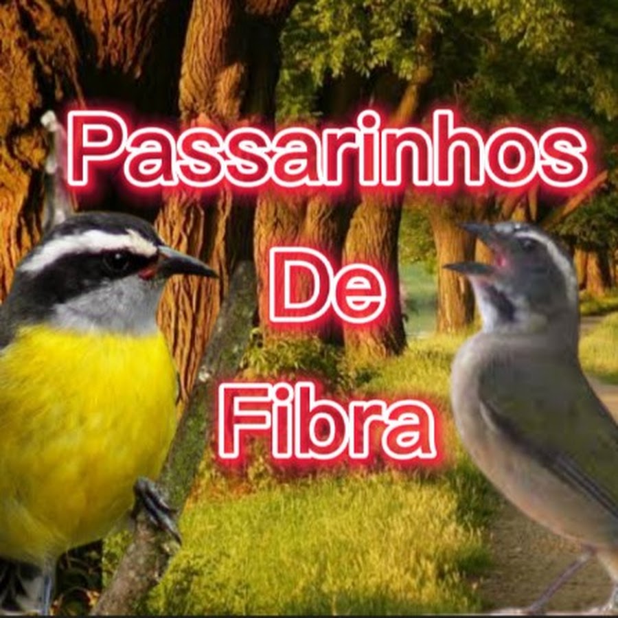 Passarinhos Cantos Lindo YouTube channel avatar