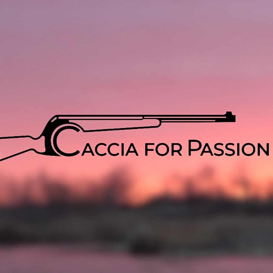 Caccia for Passion Awatar kanału YouTube