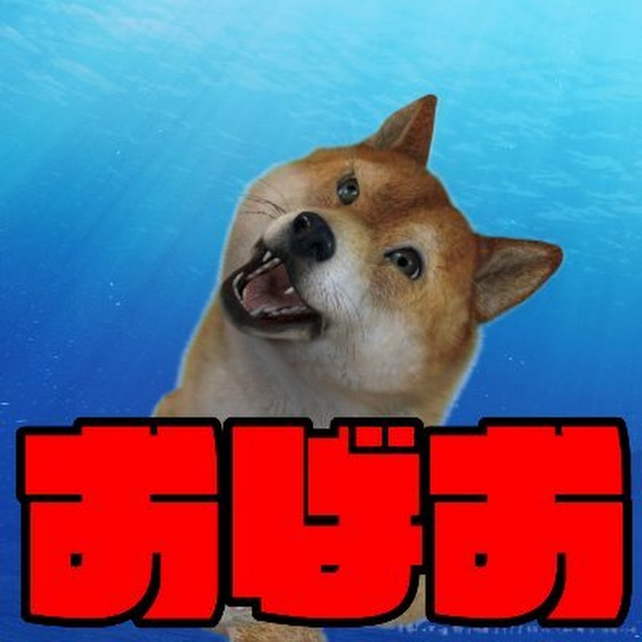 おーばーおーるchannel 大葉央流 Youtube