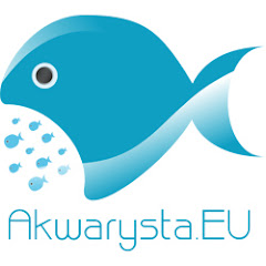 www.Akwarysta.EU