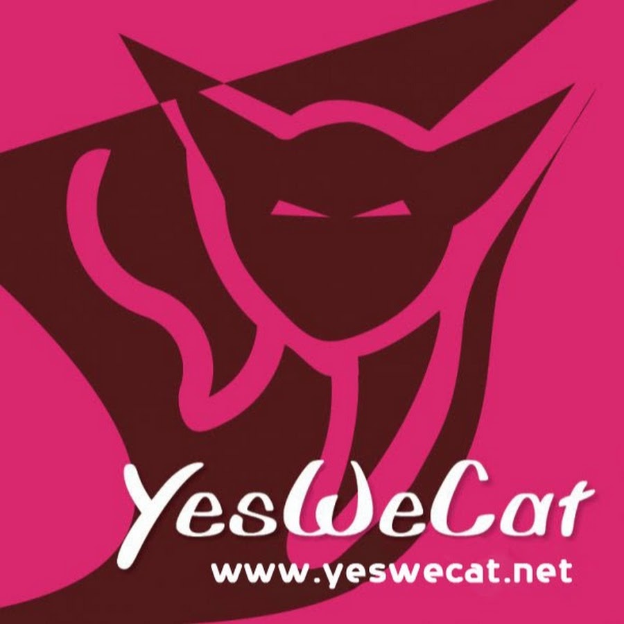 YesWeCat Cattery