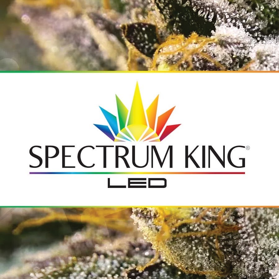 Spectrum KING LED यूट्यूब चैनल अवतार