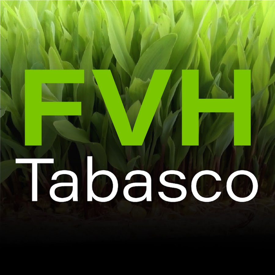 FVH Tabasco Avatar de chaîne YouTube