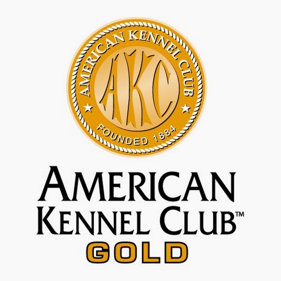 AKC Gold YouTube channel avatar