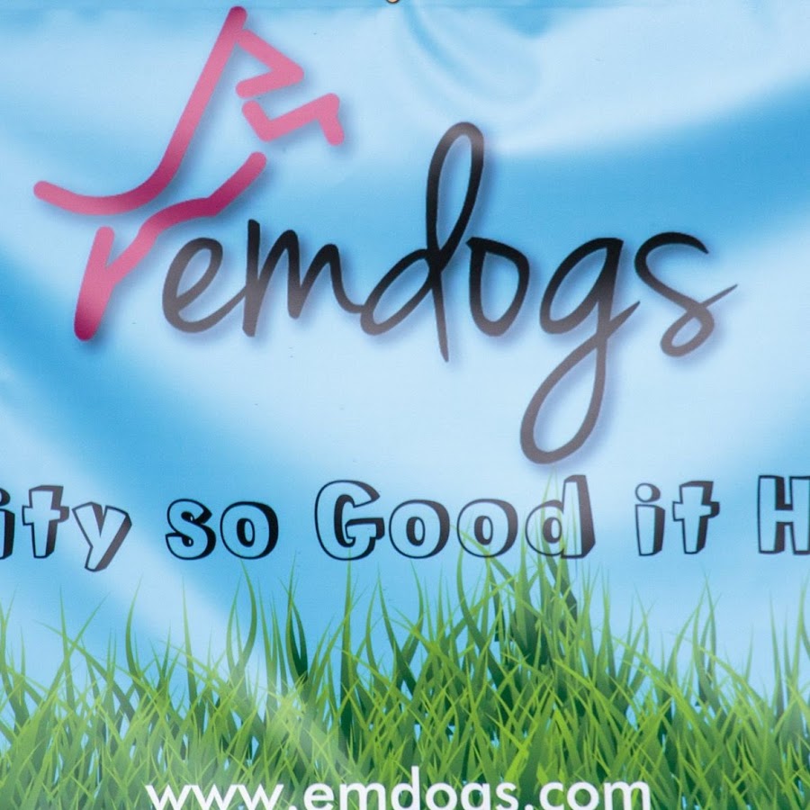 EmDogs YouTube channel avatar