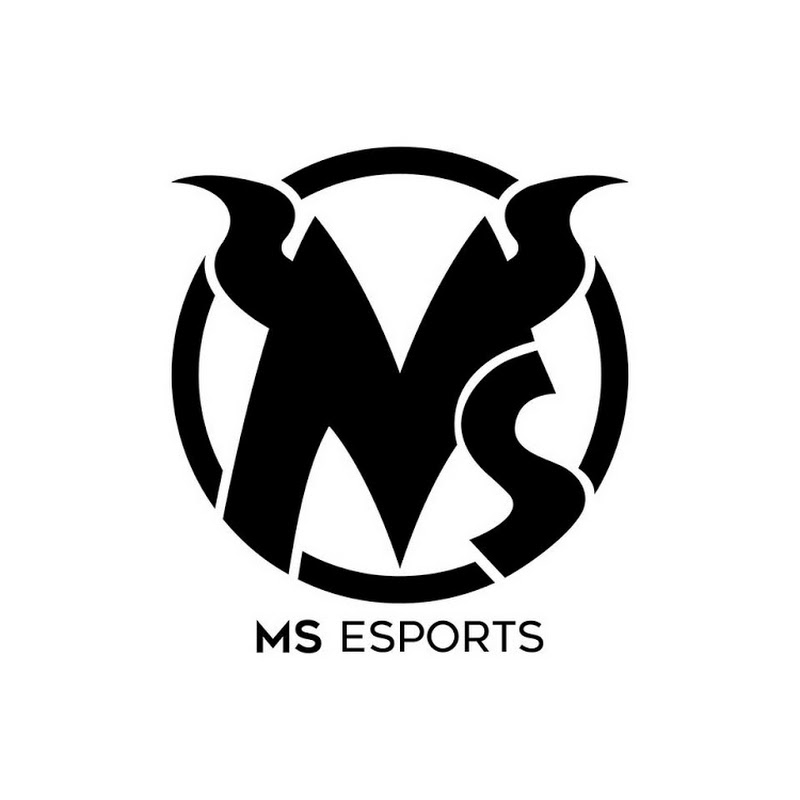 MS Esports - 網紅的藏寶箱 