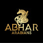 Abhar Arabians