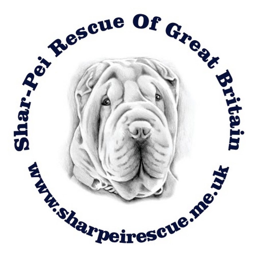 Shar Pei Rescue of Great Britain YouTube channel avatar