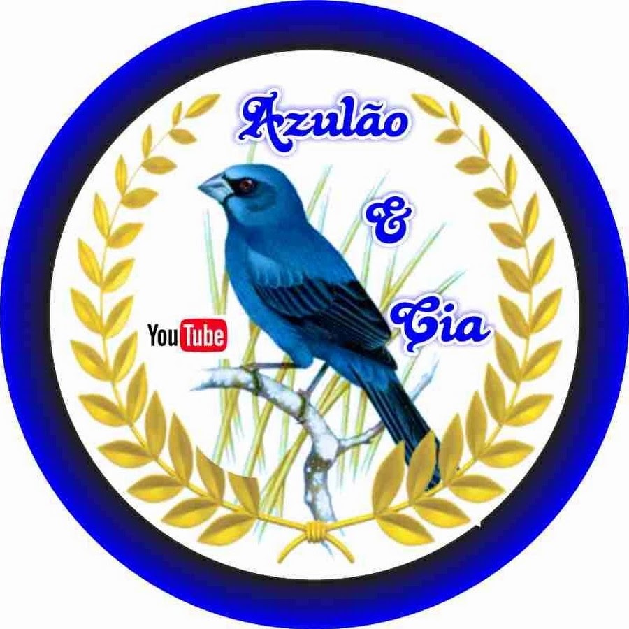 AzulÃ£o & Cia YouTube channel avatar