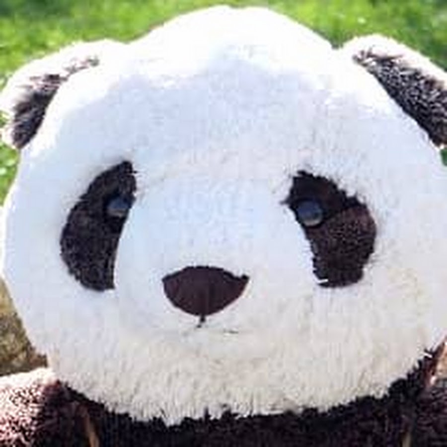 Panda Girl Youtube