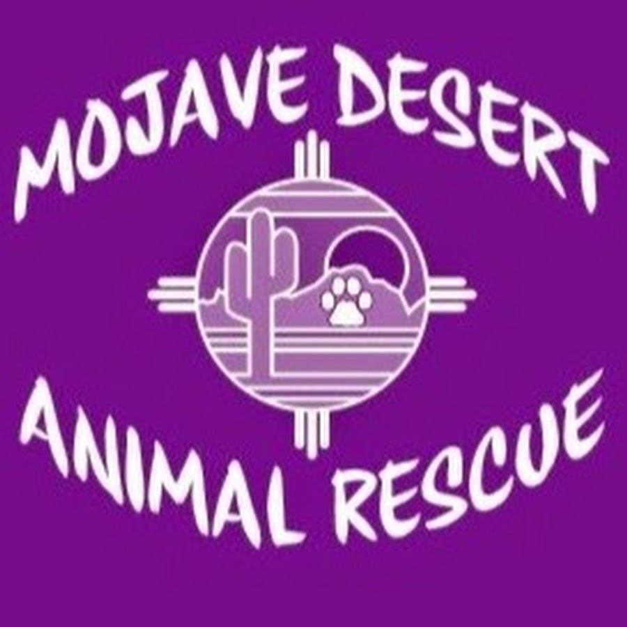 Mojave Desert Animal Rescue YouTube channel avatar