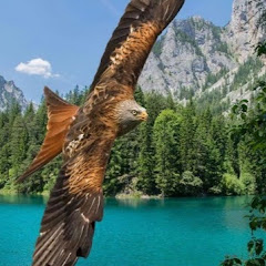 Thumbnail of related channel