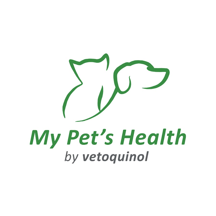 My Pet's Health | Mon animal en santÃ© رمز قناة اليوتيوب