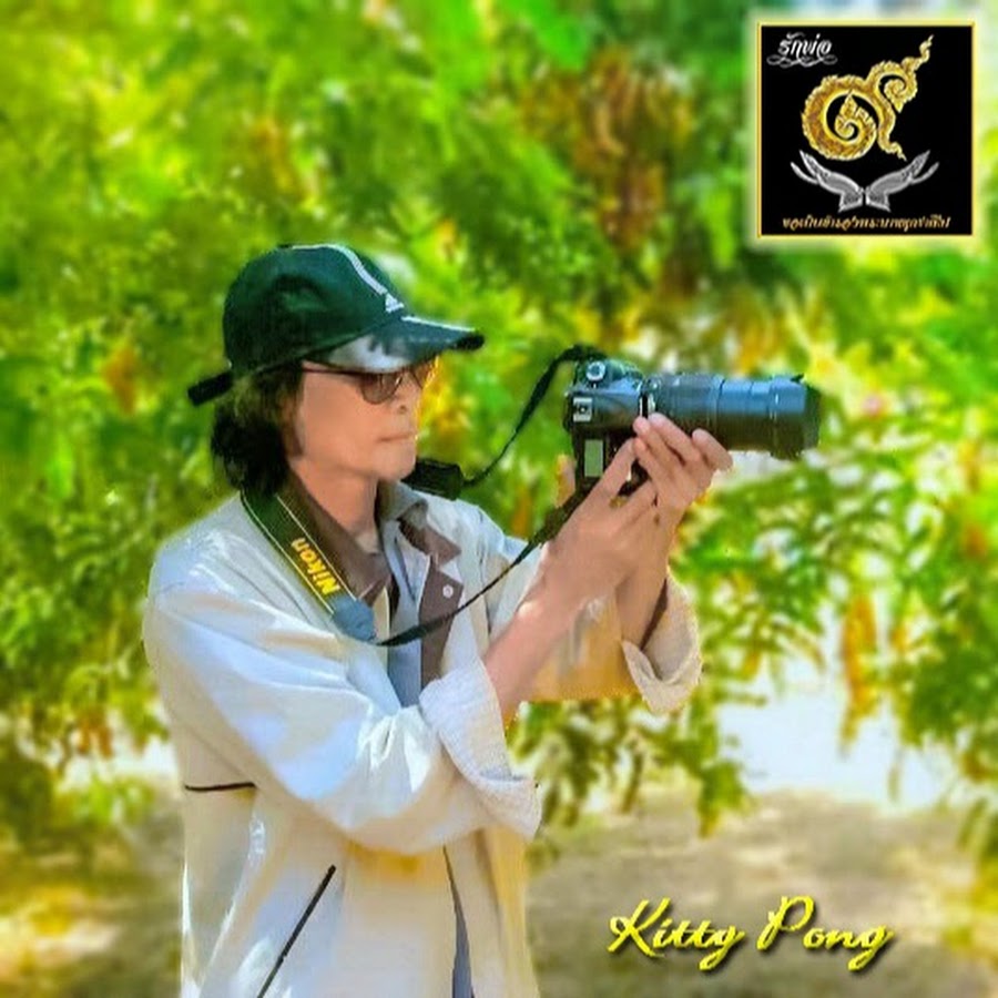 Kitty Pong Awatar kanału YouTube