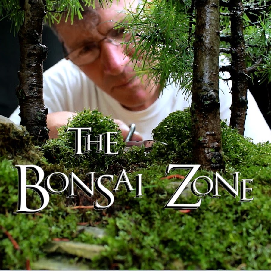 Nigel Saunders, The Bonsai Zone यूट्यूब चैनल अवतार