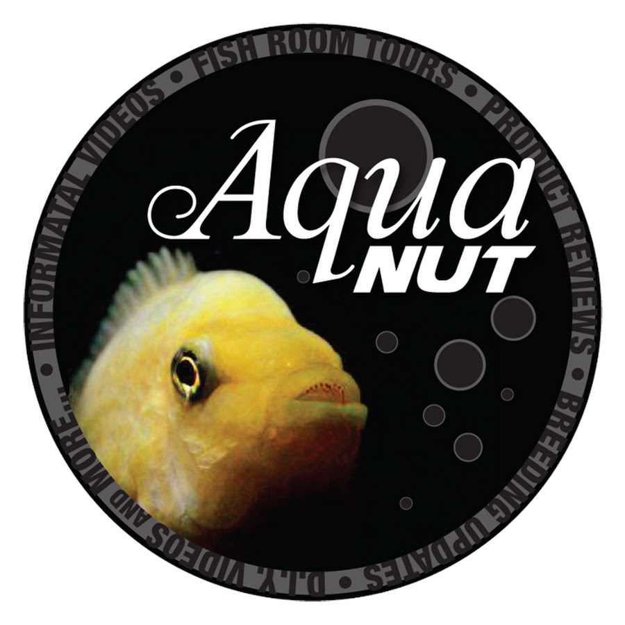 AQUA NUT YouTube channel avatar
