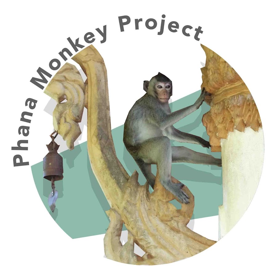 phanamonkeyproject رمز قناة اليوتيوب