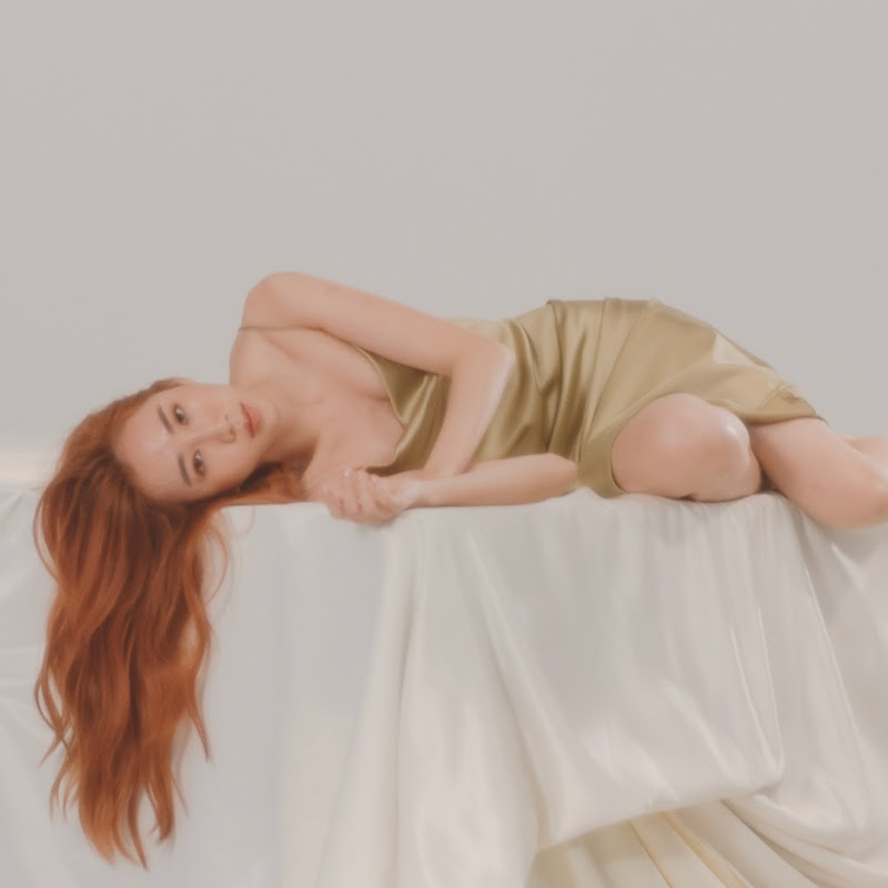 DAPHNE D調 - 網紅的藏寶箱 