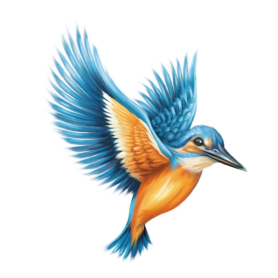 Kingfisher Packaged Drinking Water Awatar kanału YouTube