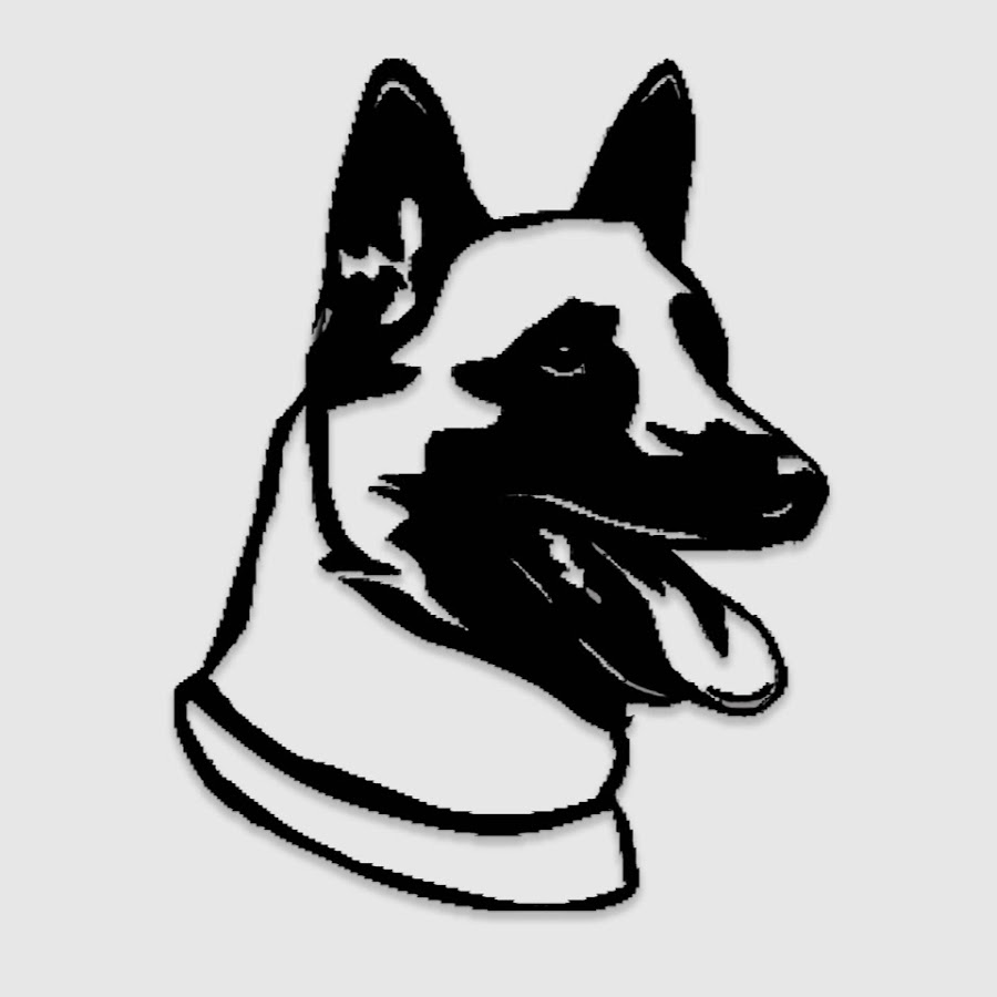 Top Chien YouTube channel avatar