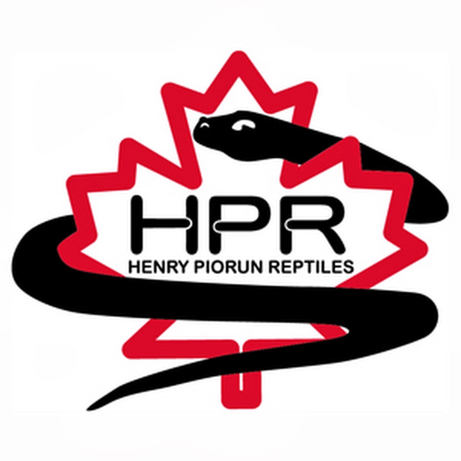 Henry Piorun YouTube channel avatar